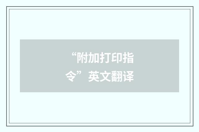 “附加打印指令”英文翻译