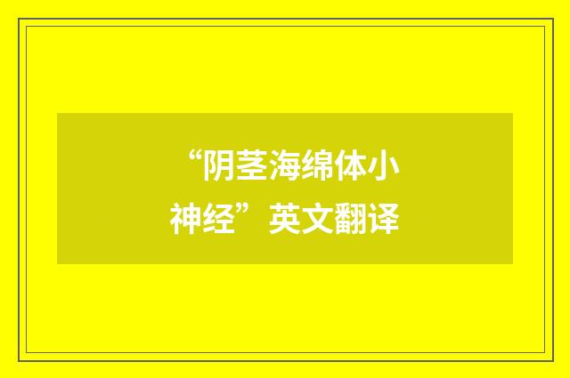 “阴茎海绵体小神经”英文翻译