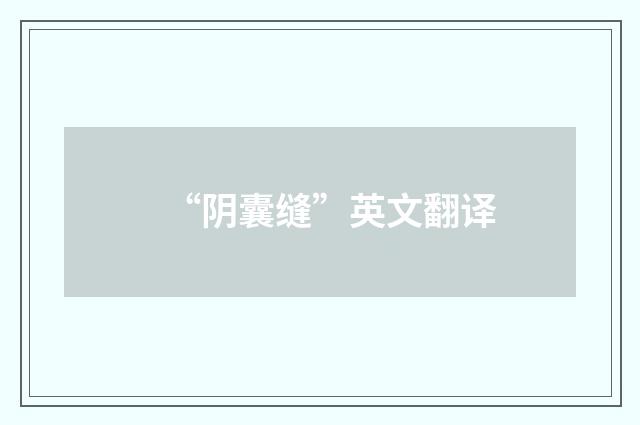 “阴囊缝”英文翻译