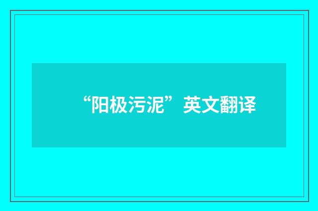 “阳极污泥”英文翻译