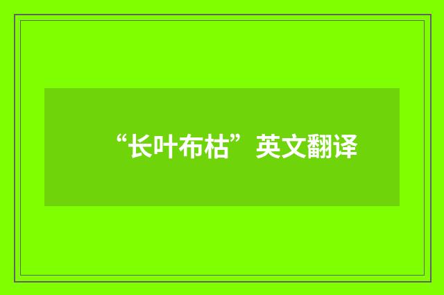 “长叶布枯”英文翻译