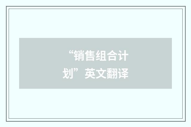 “销售组合计划”英文翻译
