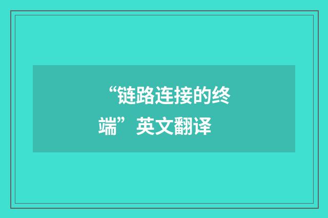 “链路连接的终端”英文翻译