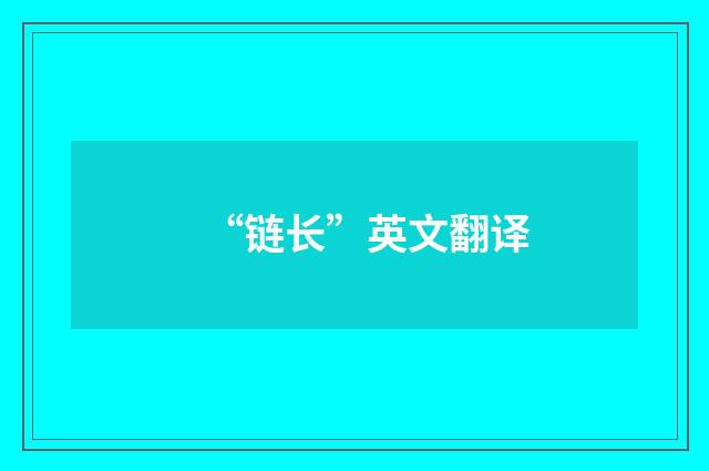 “链长”英文翻译