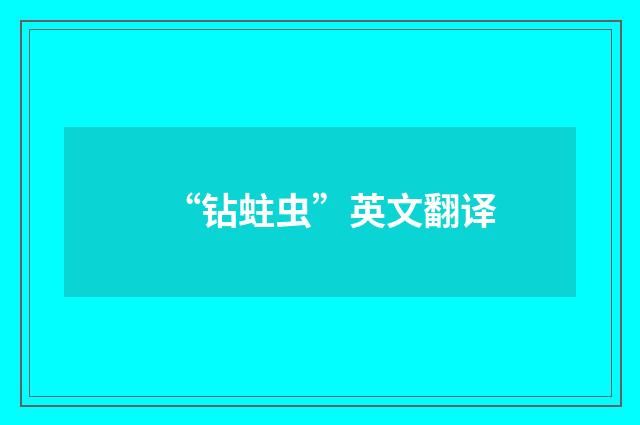 “钻蛀虫”英文翻译