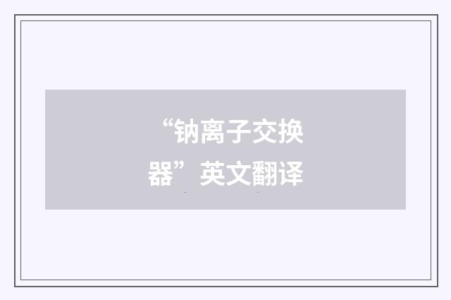 “钠离子交换器”英文翻译