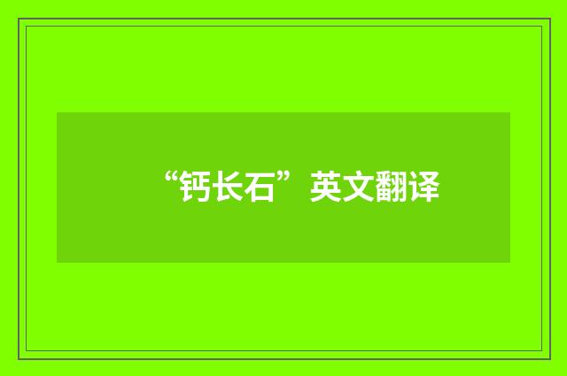 “钙长石”英文翻译