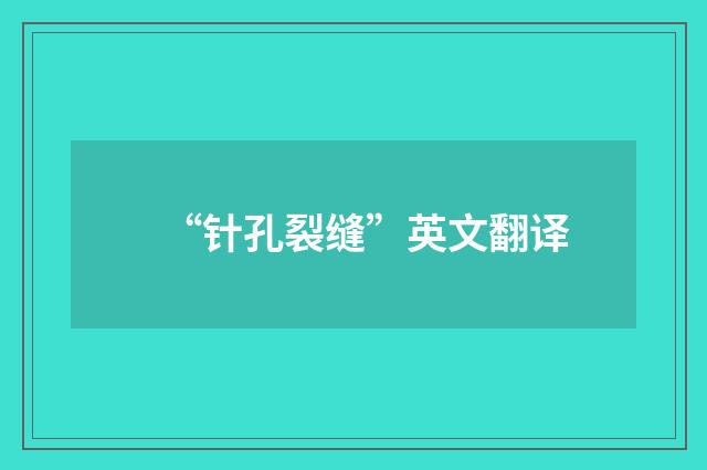 “针孔裂缝”英文翻译