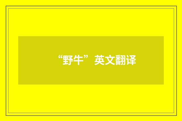 “野牛”英文翻译