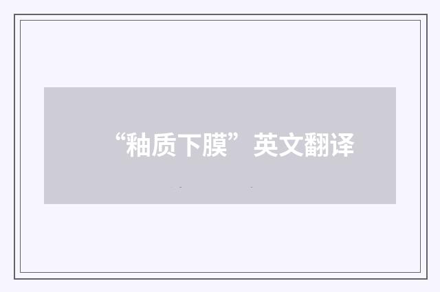 “釉质下膜”英文翻译