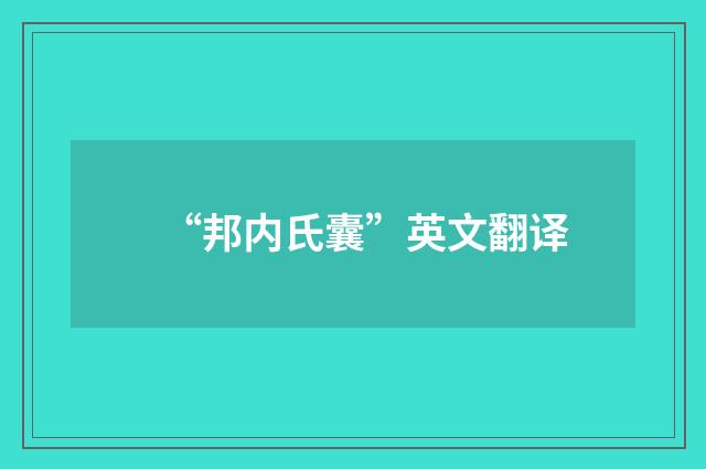 “邦内氏囊”英文翻译