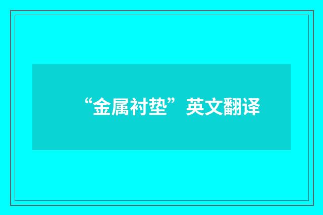 “金属衬垫”英文翻译