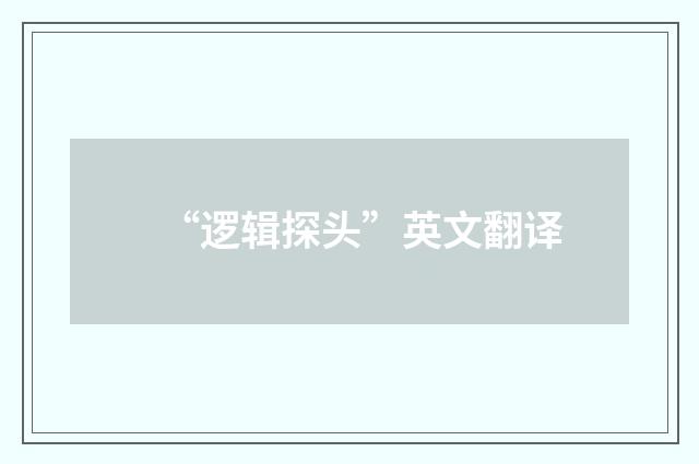 “逻辑探头”英文翻译