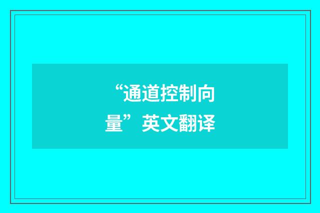 “通道控制向量”英文翻译