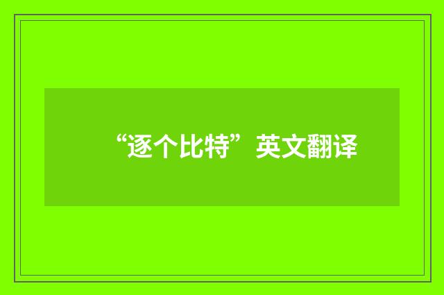 “逐个比特”英文翻译