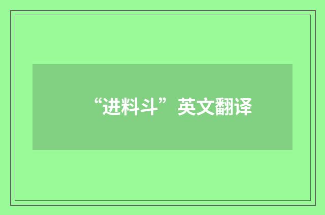 “进料斗”英文翻译