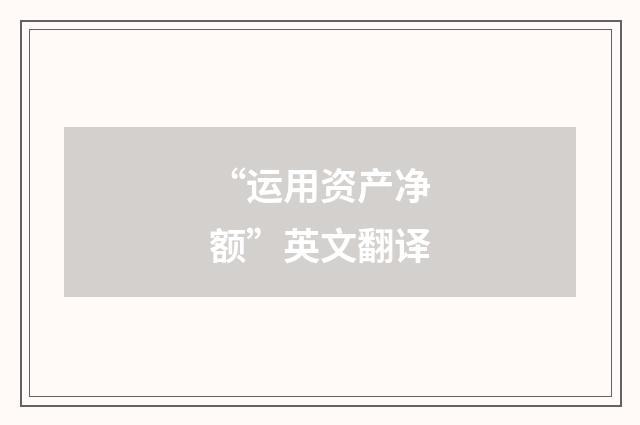“运用资产净额”英文翻译