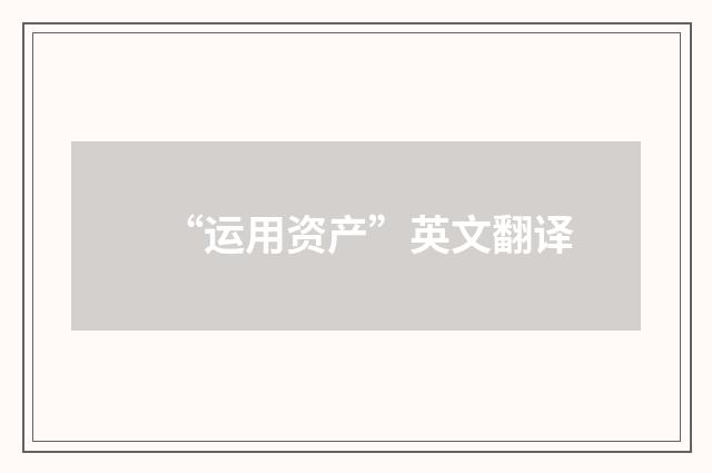 “运用资产”英文翻译