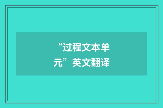 “过程文本单元”英文翻译