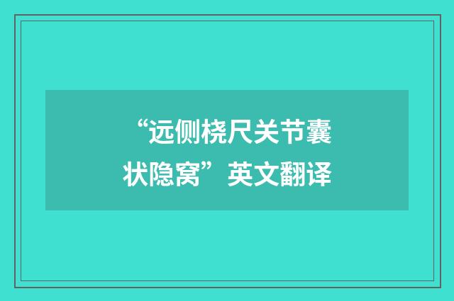 “远侧桡尺关节囊状隐窝”英文翻译