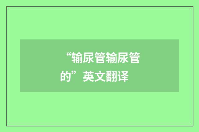 “输尿管输尿管的”英文翻译