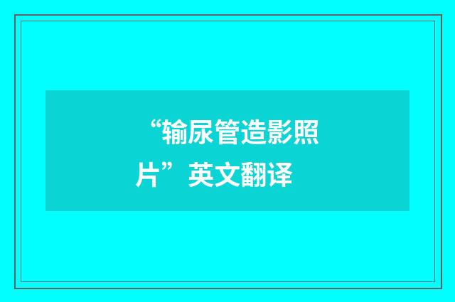 “输尿管造影照片”英文翻译