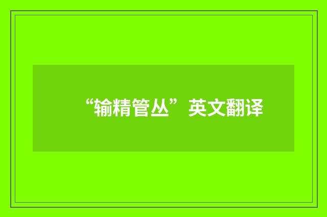 “输精管丛”英文翻译