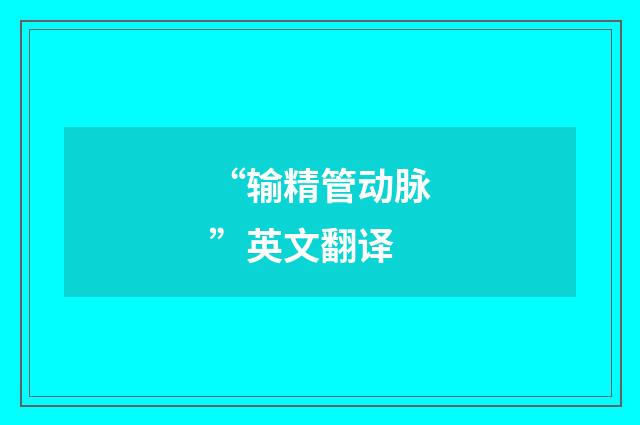 “输精管动脉”英文翻译