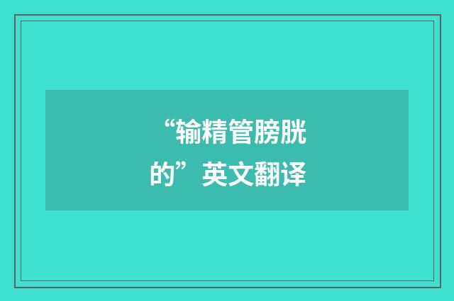 “输精管膀胱的”英文翻译