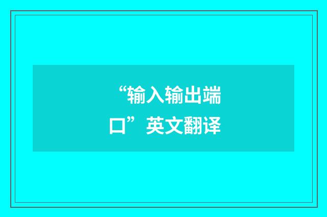 “输入输出端口”英文翻译