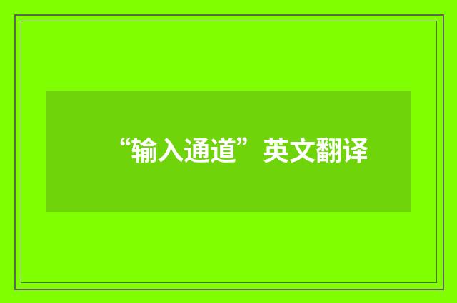 “输入通道”英文翻译