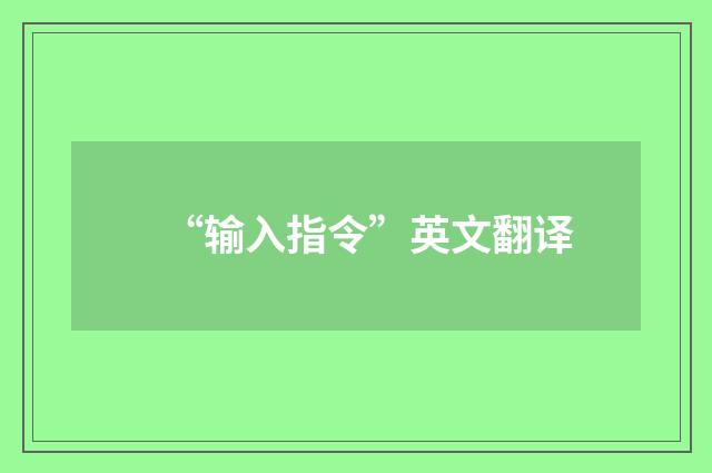 “输入指令”英文翻译