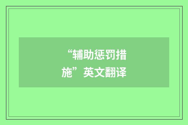 “辅助惩罚措施”英文翻译