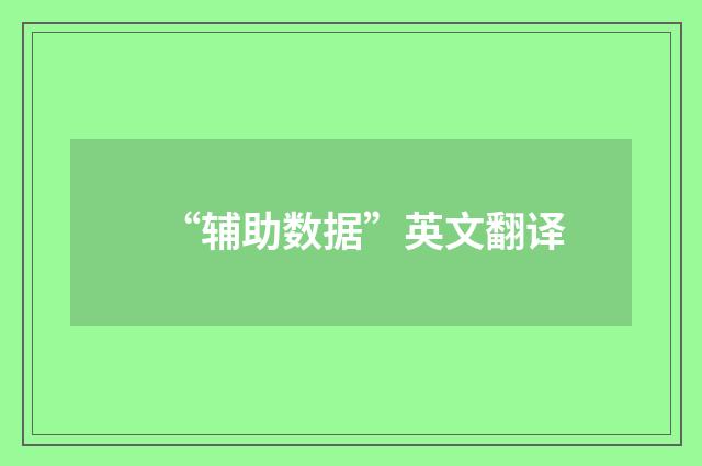 “辅助数据”英文翻译