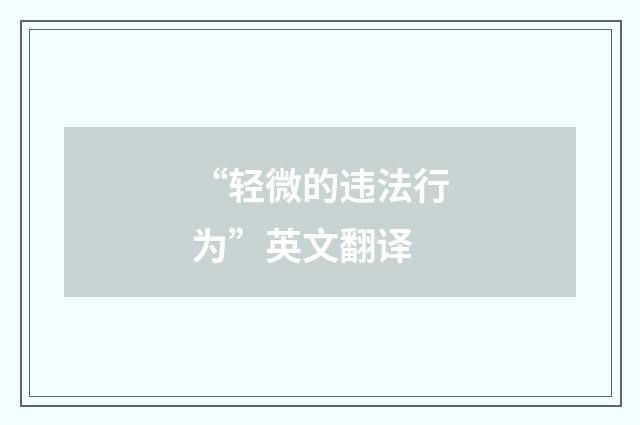 “轻微的违法行为”英文翻译