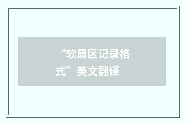 “软扇区记录格式”英文翻译