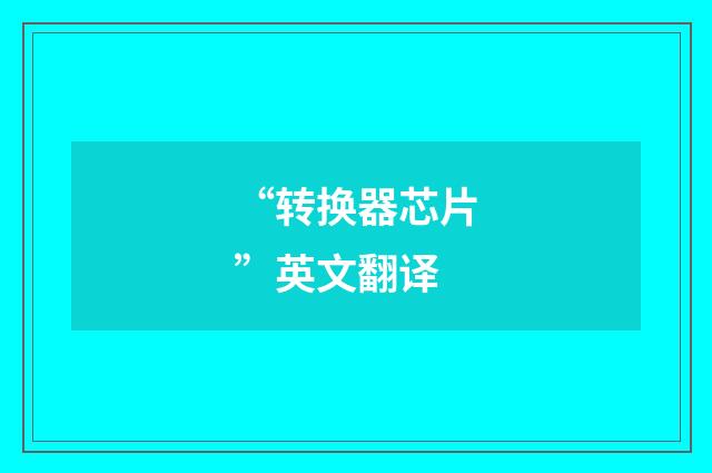“转换器芯片”英文翻译