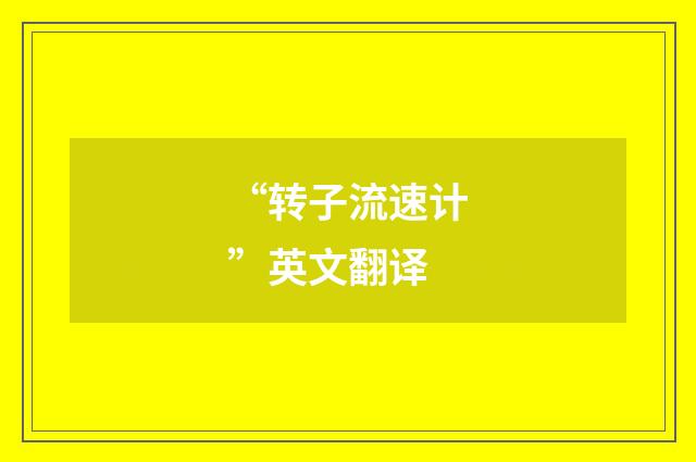 “转子流速计”英文翻译