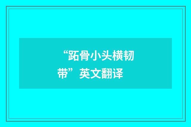 “跖骨小头横韧带”英文翻译