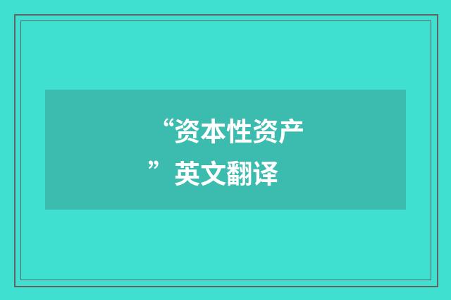 “资本性资产”英文翻译