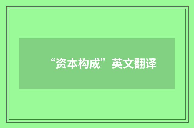 “资本构成”英文翻译