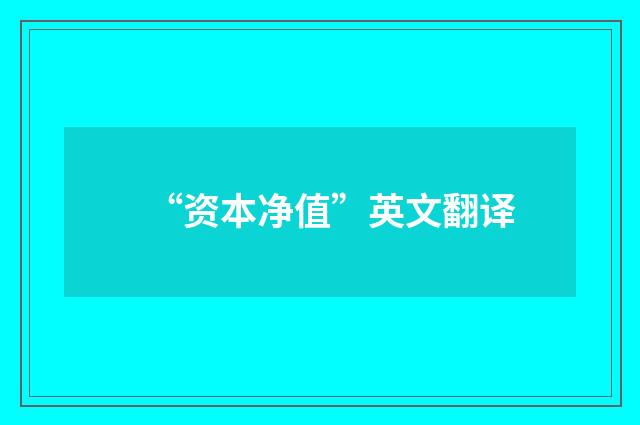 “资本净值”英文翻译