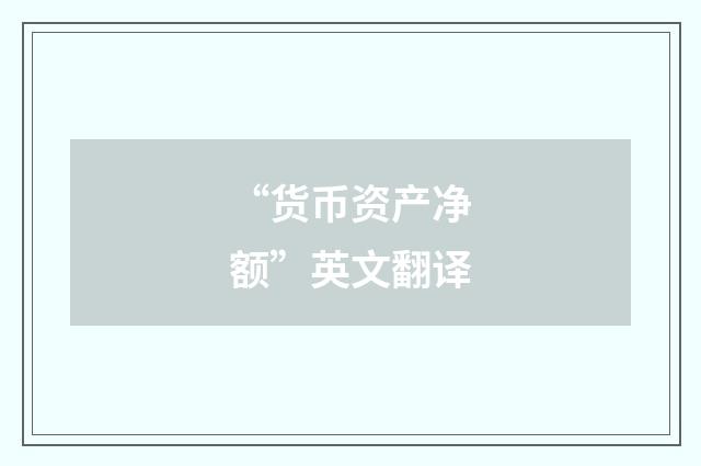 “货币资产净额”英文翻译
