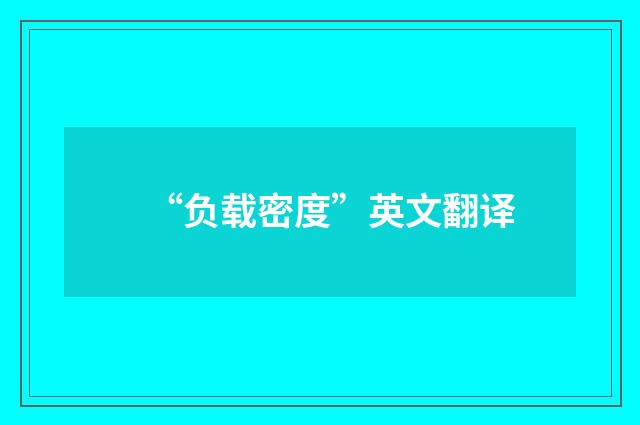 “负载密度”英文翻译