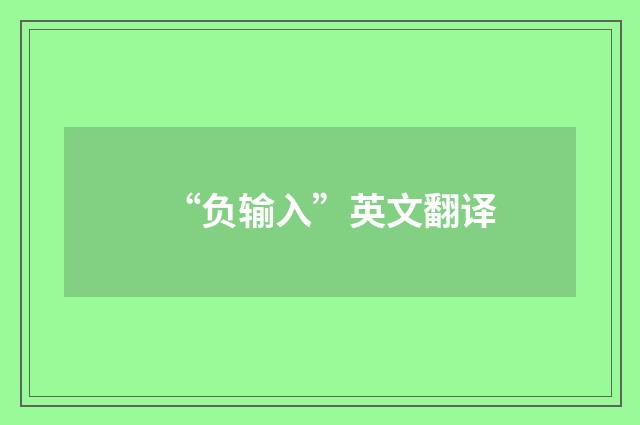 “负输入”英文翻译