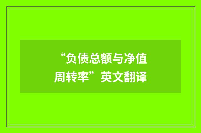 “负债总额与净值周转率”英文翻译