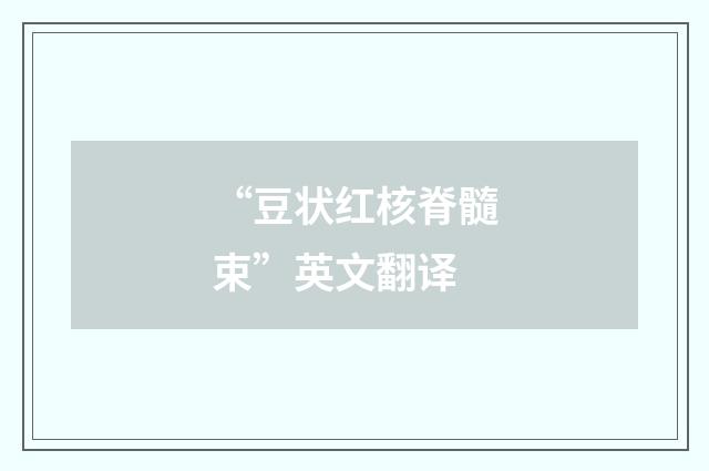 “豆状红核脊髓束”英文翻译