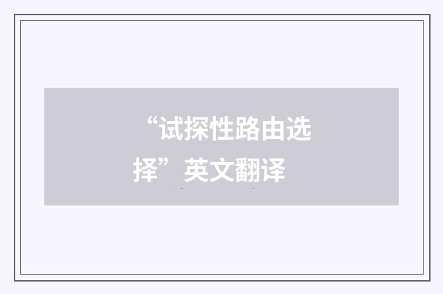 “试探性路由选择”英文翻译