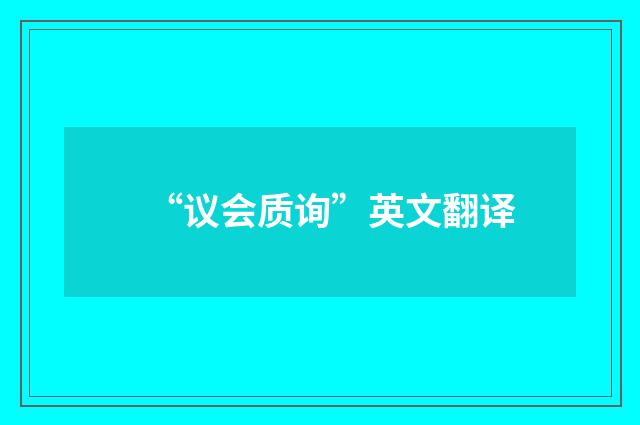 “议会质询”英文翻译