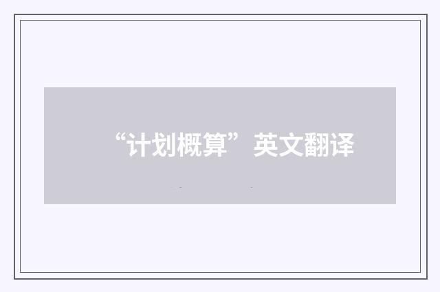 “计划概算”英文翻译